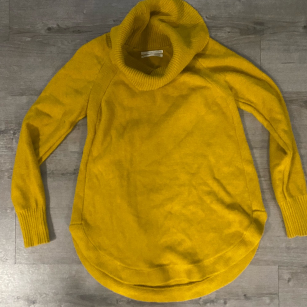 Soft Anthropologie Turtleneck